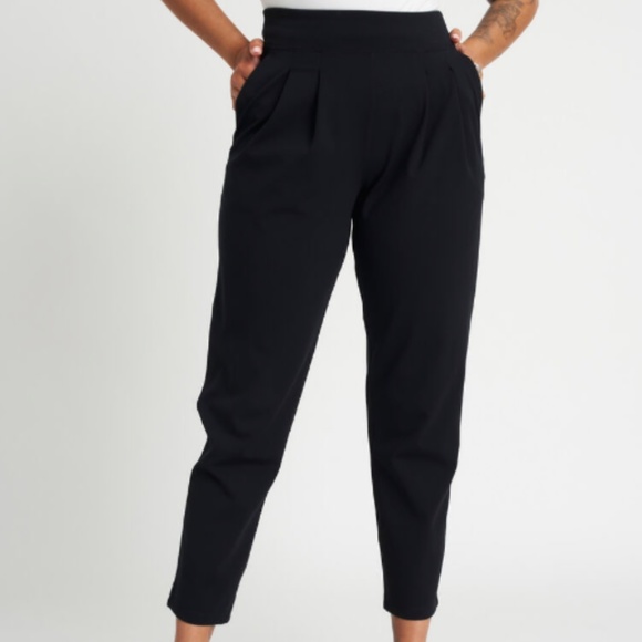 Kit and Ace Pants - NWOT Kit and Ace Pleated Trousers